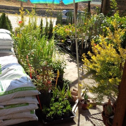 GROWING GREEN NURSERY & LANDSCAPING - Stockists of ECOPOST compost, potting soil, lawn dressing and mulch