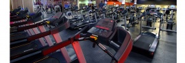 Muscle & Fitness Pinetown, Pinetown