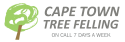 Cape Town Tree Felling Logo