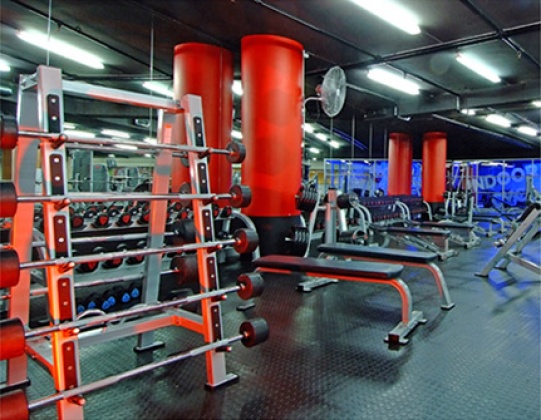 Muscle & Fitness Musgrave - Training Floor