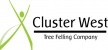 Cluster-West Logo